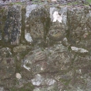 Remains of a plaster carving that used to decorate the wall