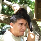 Baby monkey on the head of our guide, Juan Carlos