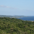 View along the coast of Roatan
