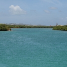 A channel through the mangroves