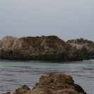 Bird Rock covered in sea lions