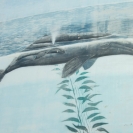 Closeup of a whale on Whaling Wall #33