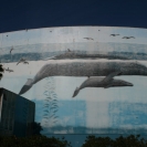 More of Whaling Wall #33