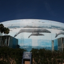 A wider view of Long Beach Arena with Whaling Wall #33