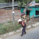 Man carrying firewood in San Lucas Toliman