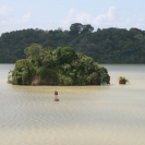 A small island in Gatun Lake