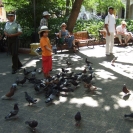 Feeding the pigeons in the Plaza de Bolivar