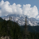 Looking up at Mount Rainier