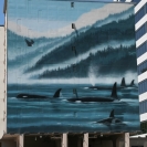 Wyland Whaling Wall #58, Orcas off the San Juan Islands