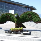 An eagle sculpture made of plants