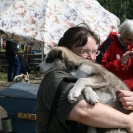 Cathy holding an Alaskan Husky puppy