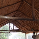 The thatch roof that we ate lunch under...
