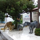 A variety of statues outside a store