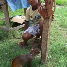 A kid showing off his agouti