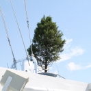 The ship's Christmas Tree mounted near the mast