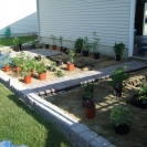 Laying out where we want to put the plants