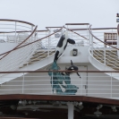 Statue of orcas on the Star Princess