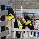 The ship penguins coming to pose for pictures with passengers