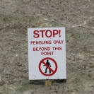Humans have to follow the rules, penguins are allowed to do whatever they want