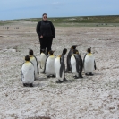 Cathy with a group of king penguins
