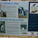 Sign describing a couple of types of penguins we'll see today