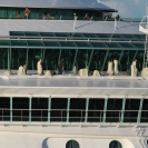 Penguins on the bridge of the Liberty of the Seas?