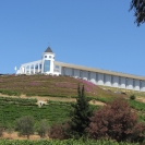 The Vina Mar de Casablanca winery