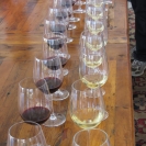 Wine glasses set out for tasting